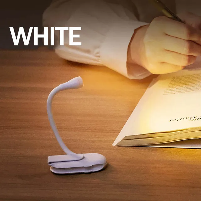 White shell